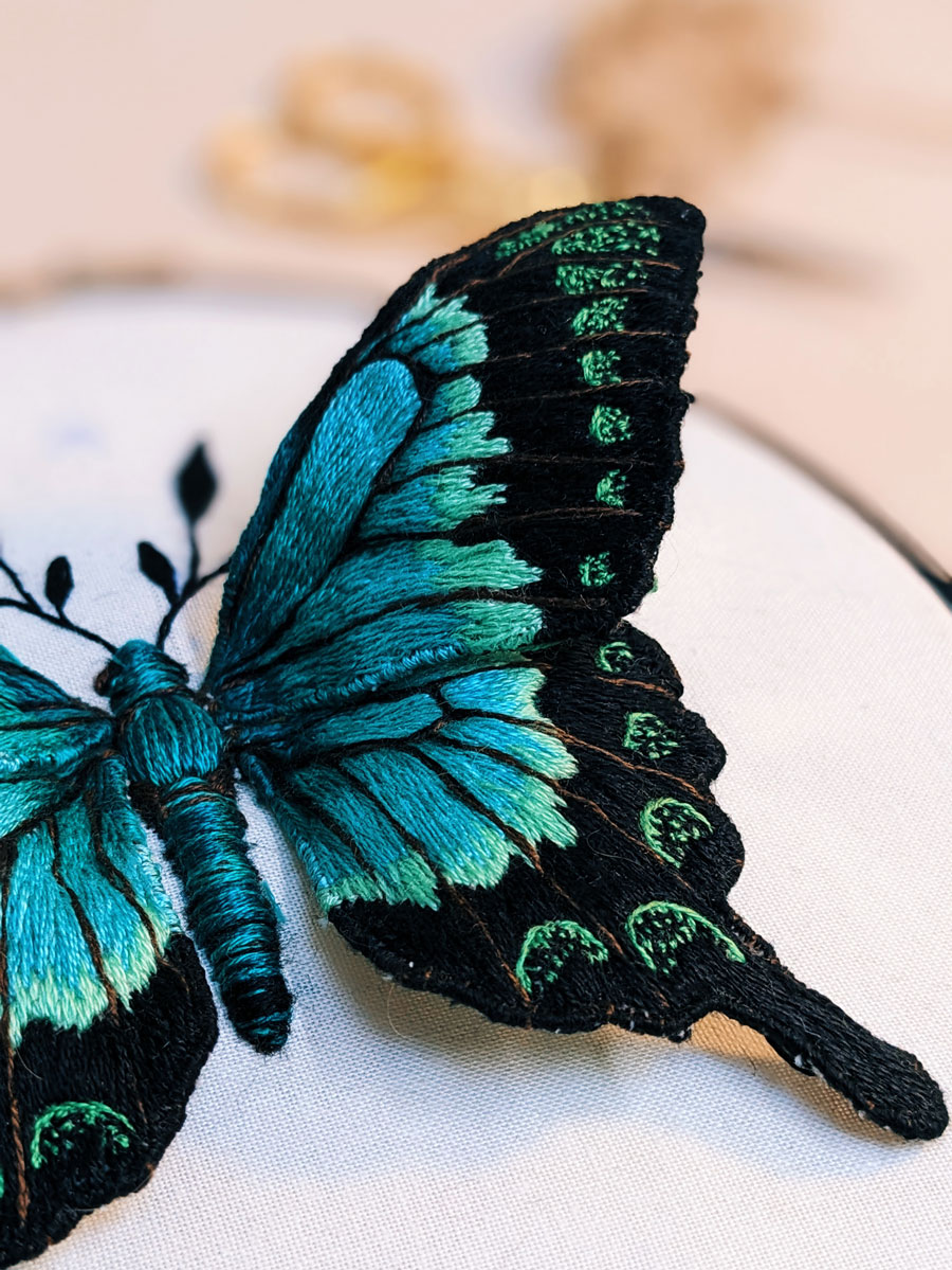 Mariposa London sea green swallowtail butterfly close up detail