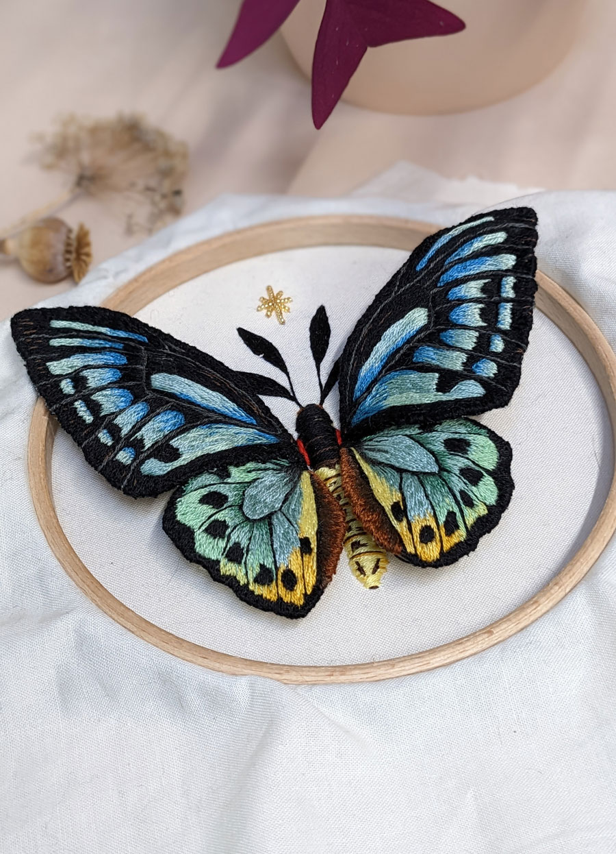 Mariposa London birdwing butterfly