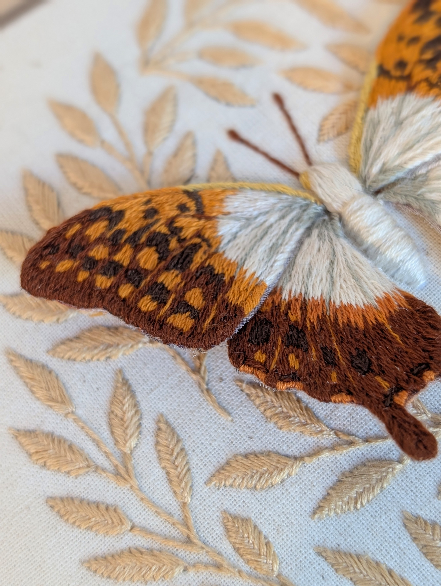 Butterfly by Mariposa London